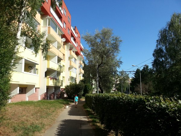 20180807_091927