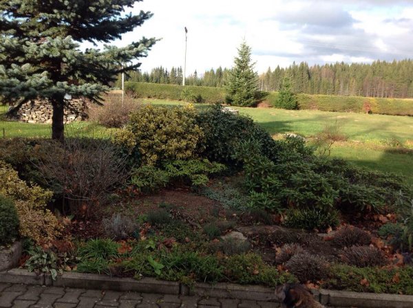 IMG-20191211-WA0010